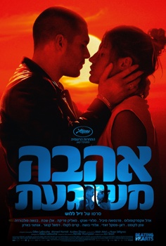 אהבה משוגעת